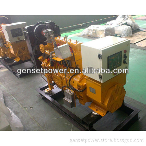5kw to 47kw Yanmar Gas Engine